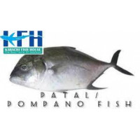 Patal fish-500gm